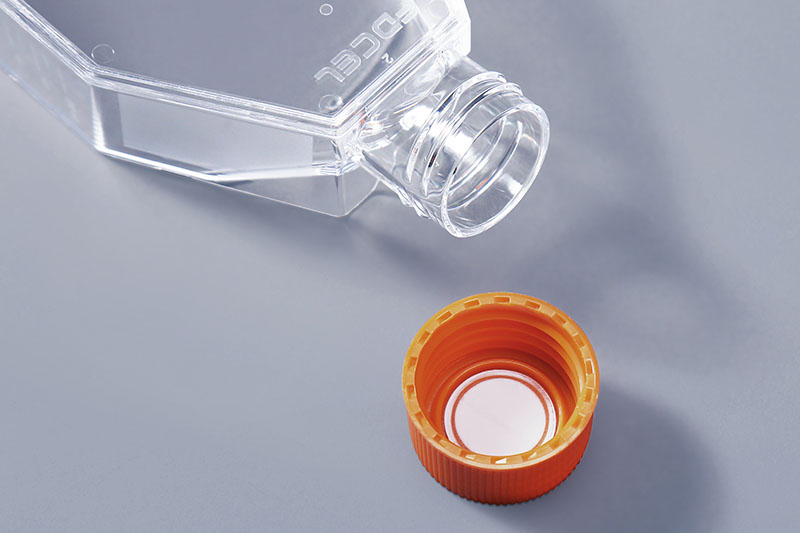 cell culture flask